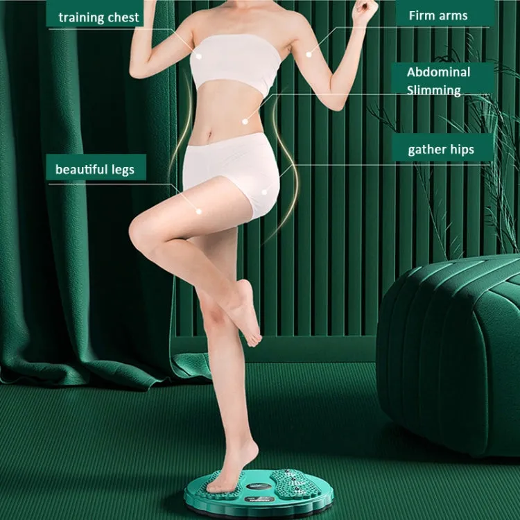 Rotating Waist Disc Twist Machine with Electronic Counter Magnetic Massage for Body Shaping, Color: Green