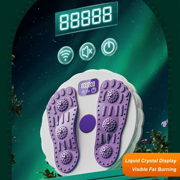 Rotating Waist Disc Twist Machine with Electronic Counter Magnetic Massage for Body Shaping, Color: Green